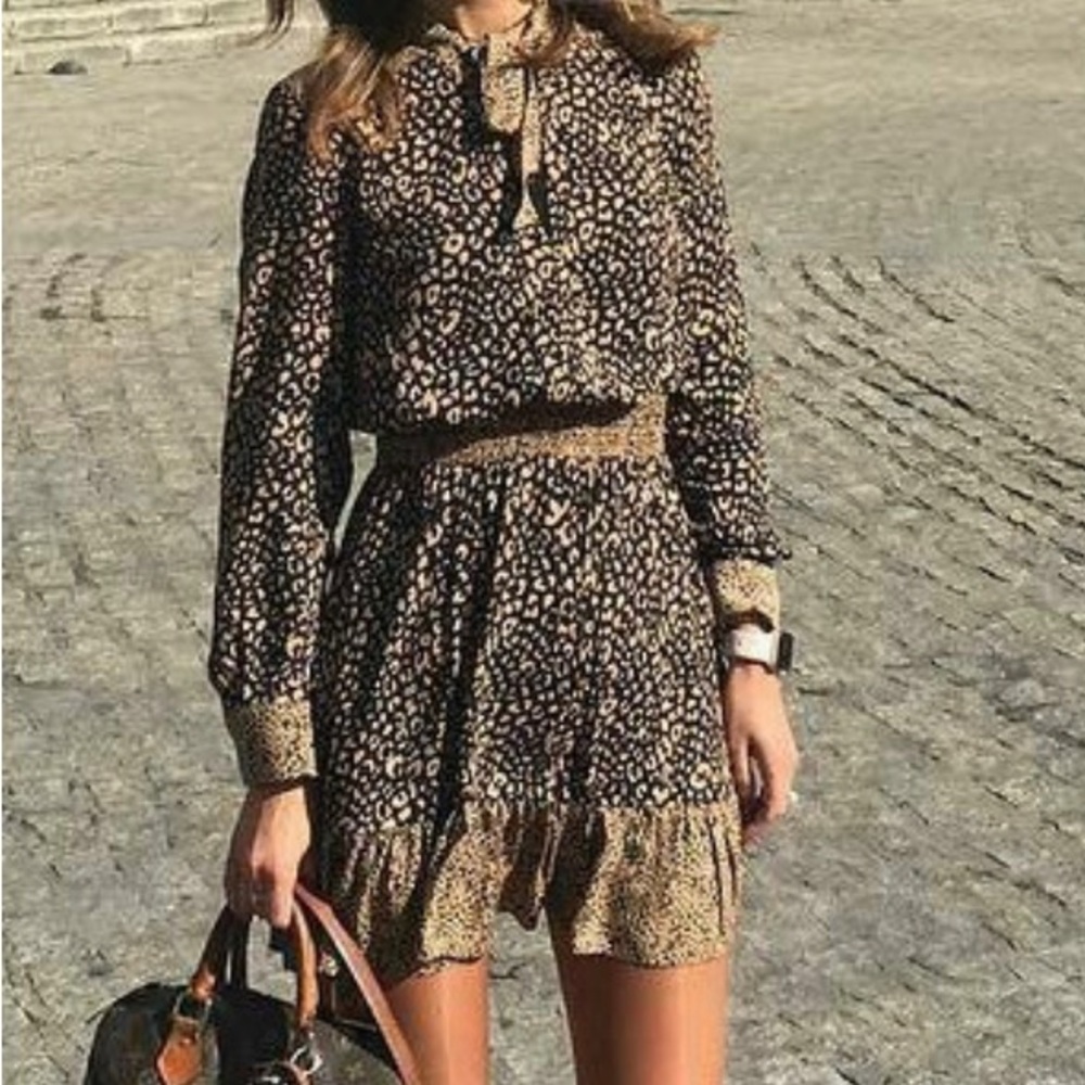 ZARA Blogger Favorite Leopard Print Dress